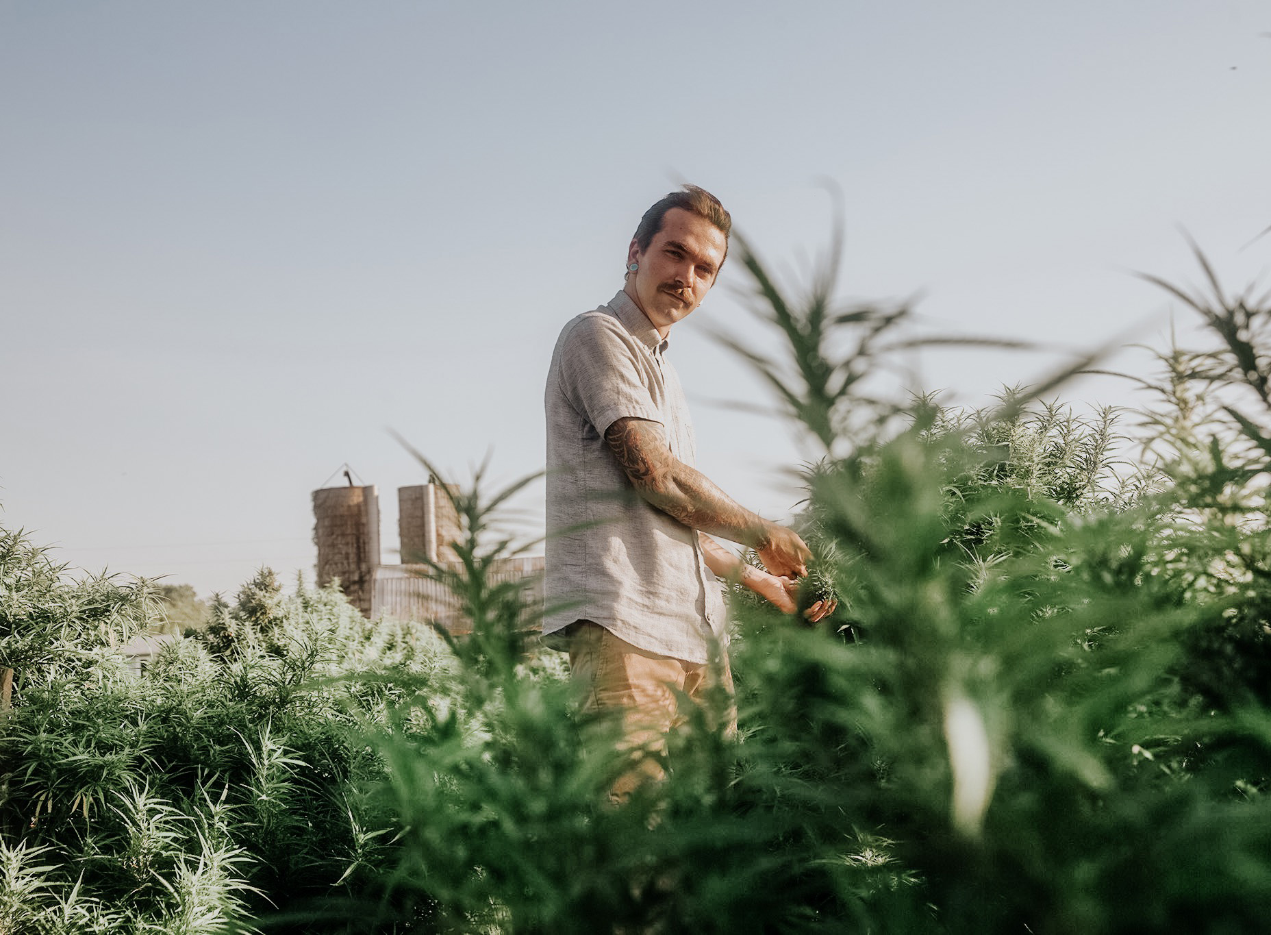 Decorative Image: Hemp Farmer